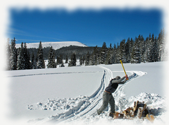 Build Muscle By Chopping Wood